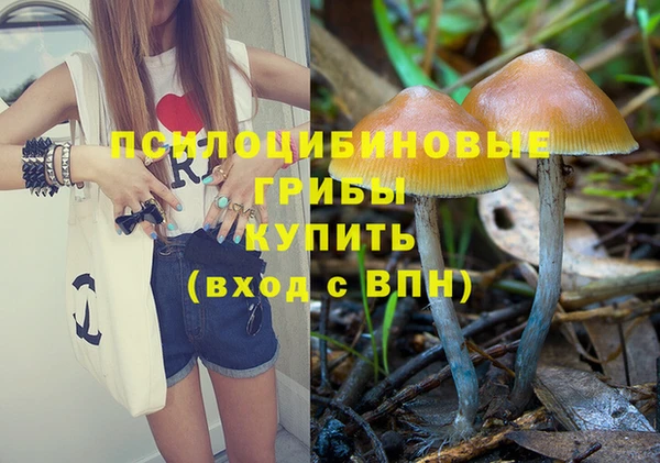 гашик Абаза