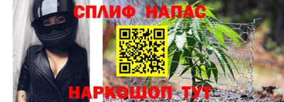 гидра Заводоуковск