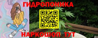 гидра Заводоуковск