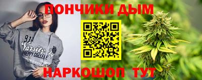 гидра Заводоуковск