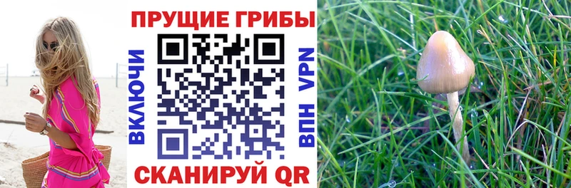 Галлюциногенные грибы Magic Shrooms  наркота  Прохладный 